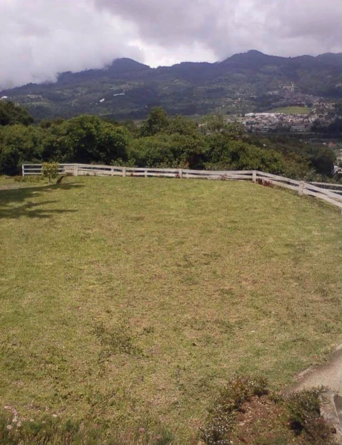 Finca de Aguacate Hass en Venta, Santo Tomás Milpas Altas
